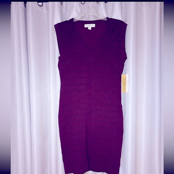 Nicki Minaj Size Large Burgundy V-Neck Feminine Bodycon Minimalist Dress NWT - Picture 1 of 12